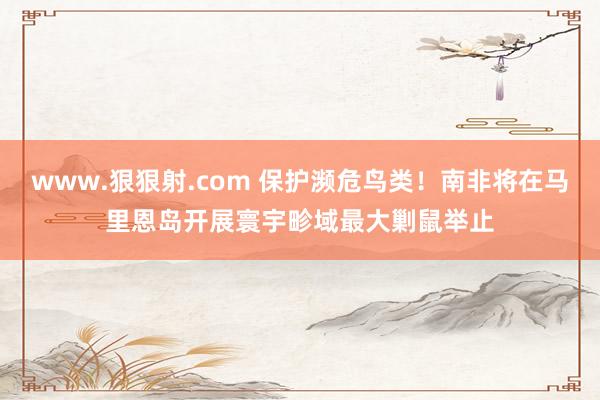 www.狠狠射.com 保护濒危鸟类！南非将在马里恩岛开展寰宇畛域最大剿鼠举止