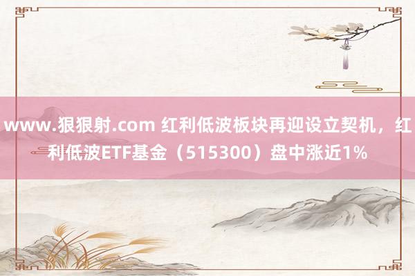 www.狠狠射.com 红利低波板块再迎设立契机，红利低波ETF基金（515300）盘中涨近1%