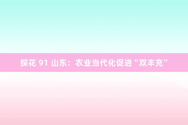 探花 91 山东：农业当代化促进“双丰充”