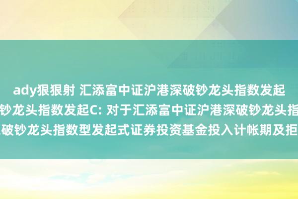 ady狠狠射 汇添富中证沪港深破钞龙头指数发起A,汇添富中证沪港深破钞龙头指数发起C: 对于汇添富中证沪港深破钞龙头指数型发起式证券投资基金投入计帐期及拒绝基金合同的公告