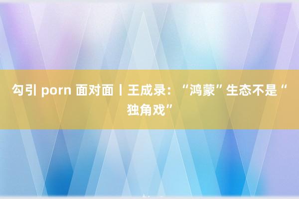 勾引 porn 面对面丨王成录：“鸿蒙”生态不是“独角戏”