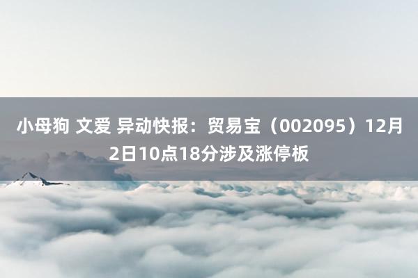 小母狗 文爱 异动快报:贸易宝(002095)12月2日10点18分涉及涨停板