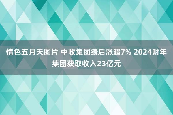 情色五月天图片 中收集团绩后涨超7% 2024财年集团获取收入23亿元