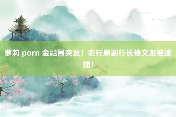 萝莉 porn 金融圈突发！农行原副行长楼文龙被逮捕！