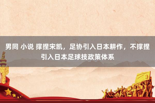男同 小说 撑捏宋凯，足协引入日本耕作，不撑捏引入日本足球技政策体系