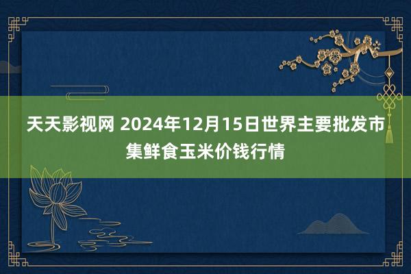 天天影视网 2024年12月15日世界主要批发市集鲜食玉米价钱行情