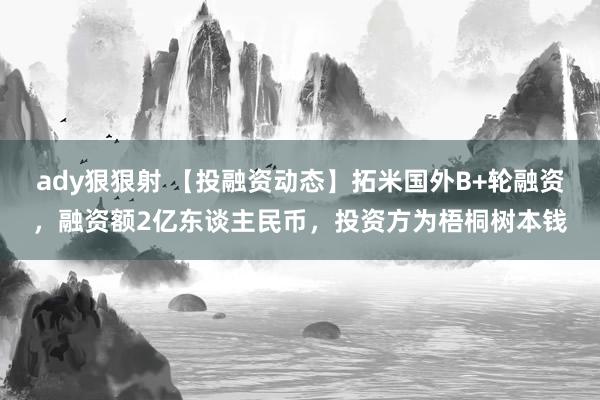 ady狠狠射 【投融资动态】拓米国外B+轮融资，融资额2亿东谈主民币，投资方为梧桐树本钱