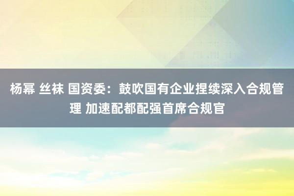 杨幂 丝袜 国资委：鼓吹国有企业捏续深入合规管理 加速配都配强首席合规官