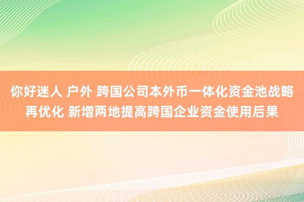 你好迷人 户外 跨国公司本外币一体化资金池战略再优化 新增两地提高跨国企业资金使用后果