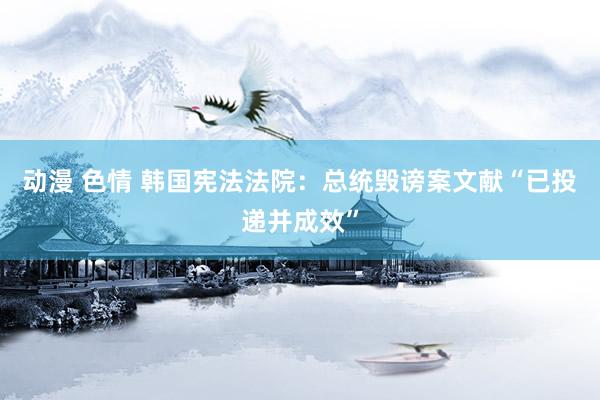 动漫 色情 韩国宪法法院:总统毁谤案文献“已投递并成效”