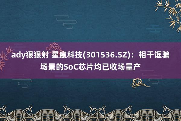 ady狠狠射 星宸科技(301536.SZ)：相干诓骗场景的SoC芯片均已收场量产