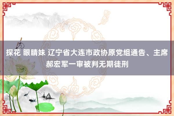 探花 眼睛妹 辽宁省大连市政协原党组通告、主席郝宏军一审被判无期徒刑