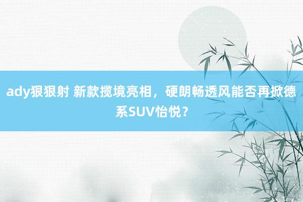 ady狠狠射 新款揽境亮相，硬朗畅透风能否再掀德系SUV怡悦？