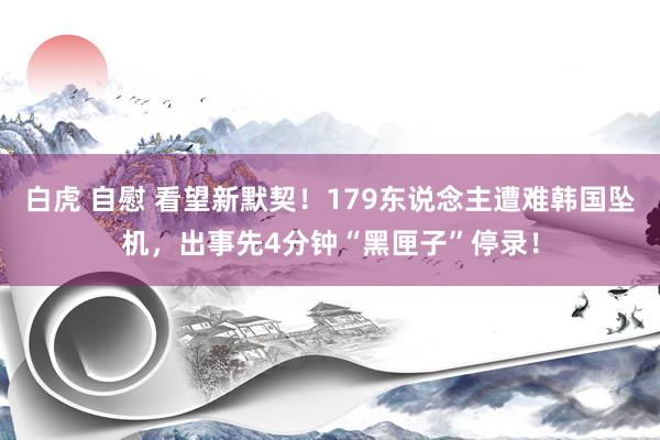 白虎 自慰 看望新默契！179东说念主遭难韩国坠机，出事先4分钟“黑匣子”停录！