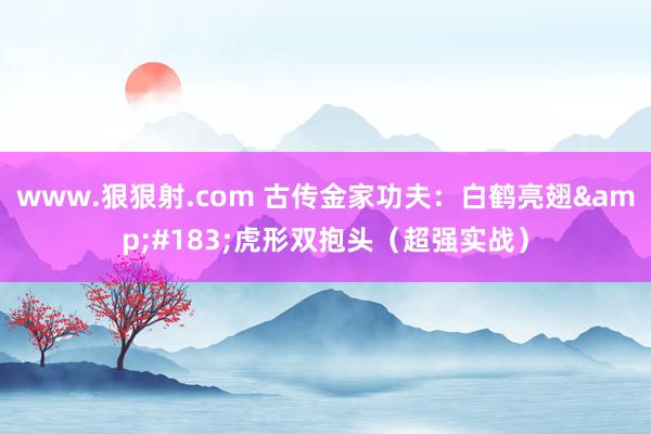 www.狠狠射.com 古传金家功夫：白鹤亮翅&#183;虎形双抱头（超强实战）