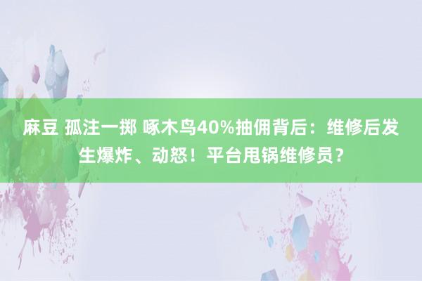 麻豆 孤注一掷 啄木鸟40%抽佣背后：维修后发生爆炸、动怒！平台甩锅维修员？