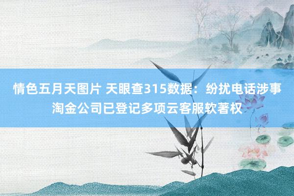 情色五月天图片 天眼查315数据：纷扰电话涉事淘金公司已登记多项云客服软著权