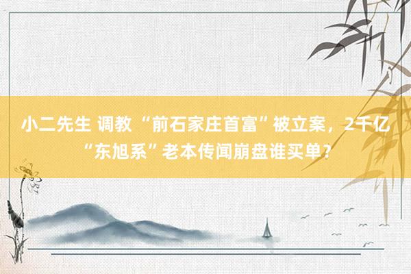 小二先生 调教 “前石家庄首富”被立案，2千亿“东旭系”老本传闻崩盘谁买单？
