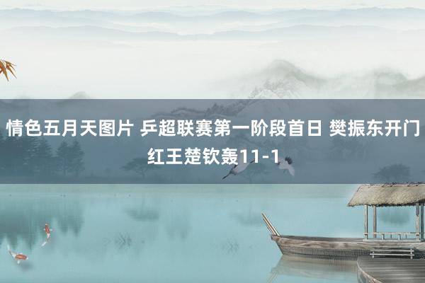 情色五月天图片 乒超联赛第一阶段首日 樊振东开门红王楚钦轰11-1