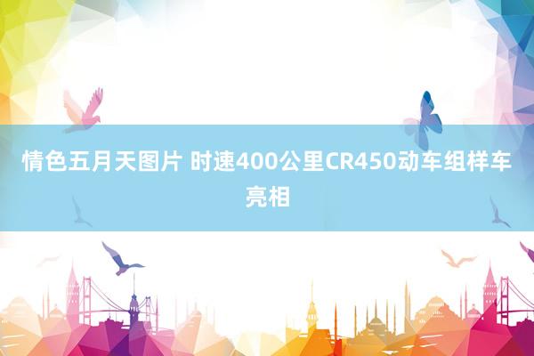 情色五月天图片 时速400公里CR450动车组样车亮相