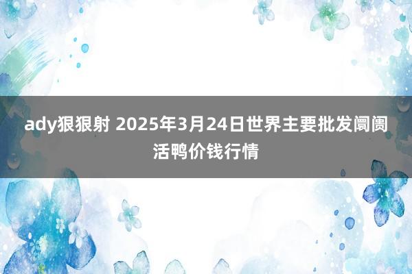 ady狠狠射 2025年3月24日世界主要批发阛阓活鸭价钱行情