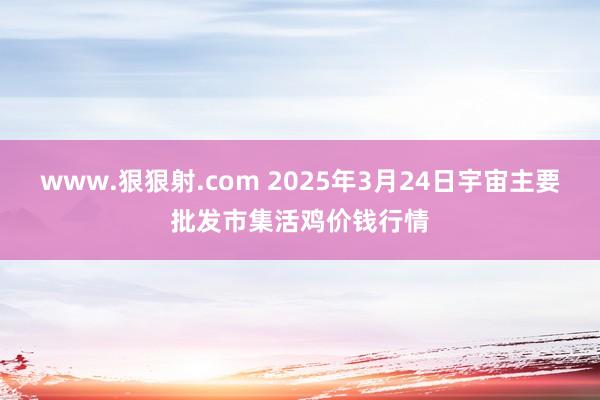 www.狠狠射.com 2025年3月24日宇宙主要批发市集活鸡价钱行情