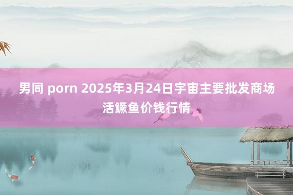 男同 porn 2025年3月24日宇宙主要批发商场活鳜鱼价钱行情