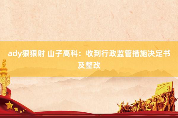 ady狠狠射 山子高科：收到行政监管措施决定书及整改