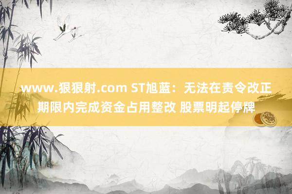 www.狠狠射.com ST旭蓝：无法在责令改正期限内完成资金占用整改 股票明起停牌
