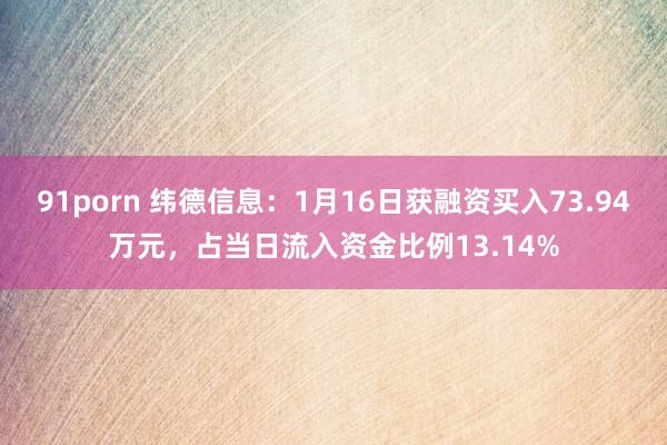 91porn 纬德信息：1月16日获融资买入73.94万元，占当日流入资金比例13.14%