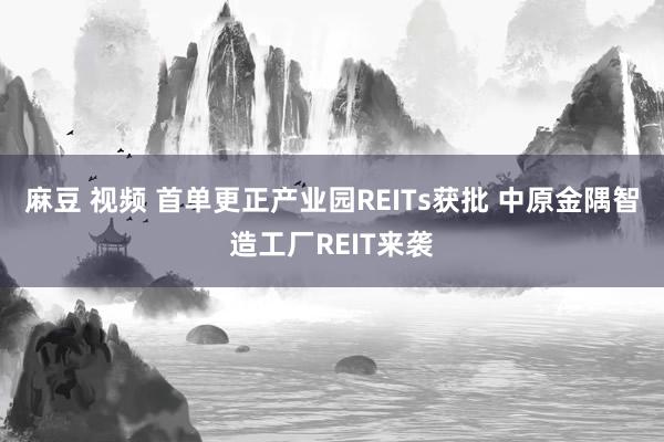 麻豆 视频 首单更正产业园REITs获批 中原金隅智造工厂REIT来袭