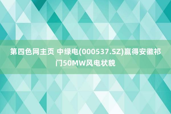 第四色网主页 中绿电(000537.SZ)赢得安徽祁门50MW风电状貌