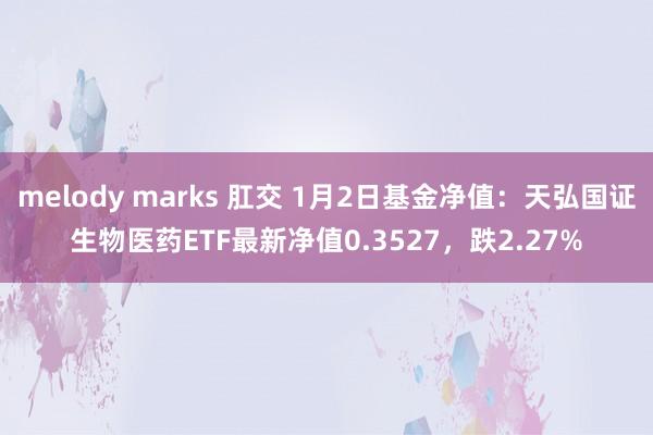 melody marks 肛交 1月2日基金净值：天弘国证生物医药ETF最新净值0.3527，跌2.27%