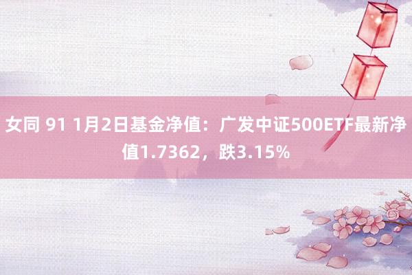 女同 91 1月2日基金净值：广发中证500ETF最新净值1.7362，跌3.15%