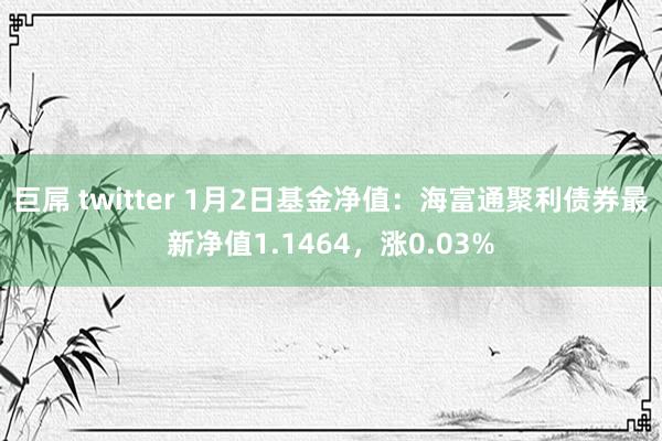 巨屌 twitter 1月2日基金净值：海富通聚利债券最新净值1.1464，涨0.03%