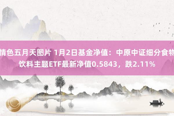 情色五月天图片 1月2日基金净值：中原中证细分食物饮料主题ETF最新净值0.5843，跌2.11%