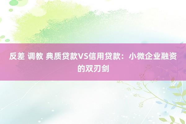反差 调教 典质贷款VS信用贷款：小微企业融资的双刃剑