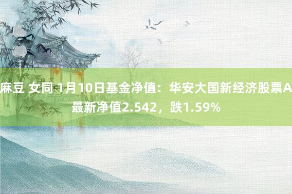 麻豆 女同 1月10日基金净值：华安大国新经济股票A最新净值2.542，跌1.59%