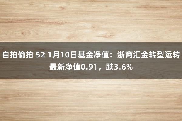 自拍偷拍 52 1月10日基金净值：浙商汇金转型运转最新净值0.91，跌3.6%