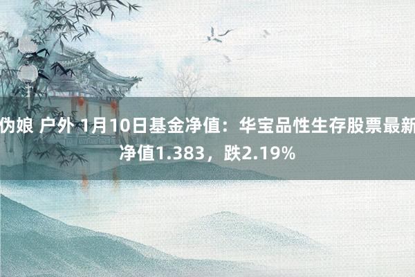 伪娘 户外 1月10日基金净值：华宝品性生存股票最新净值1.383，跌2.19%