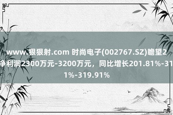 www.狠狠射.com 时尚电子(002767.SZ)瞻望2024年净利润2300万元-3200万元，同比增长201.81%-319.91%
