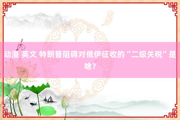 动漫 英文 特朗普阻碍对俄伊征收的“二级关税”是啥？