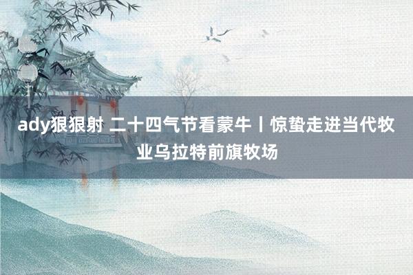 ady狠狠射 二十四气节看蒙牛丨惊蛰走进当代牧业乌拉特前旗牧场