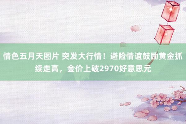 情色五月天图片 突发大行情！避险情谊鼓励黄金抓续走高，金价上破2970好意思元
