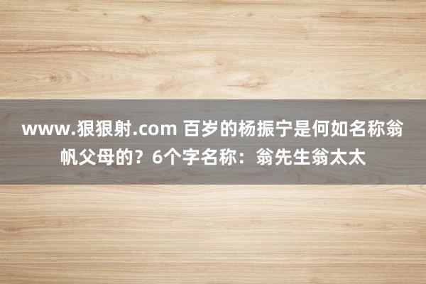 www.狠狠射.com 百岁的杨振宁是何如名称翁帆父母的？6个字名称：翁先生翁太太