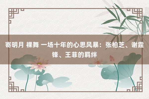 寄明月 裸舞 一场十年的心思风暴：张柏芝、谢霆锋、王菲的羁绊