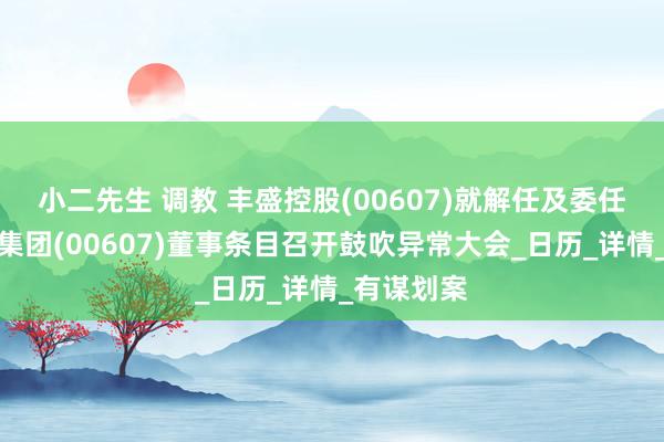 小二先生 调教 丰盛控股(00607)就解任及委任中国高速集团(00607)董事条目召开鼓吹异常大会_日历_详情_有谋划案