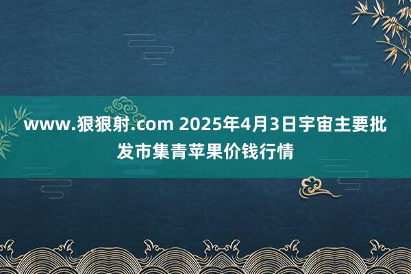 www.狠狠射.com 2025年4月3日宇宙主要批发市集青苹果价钱行情