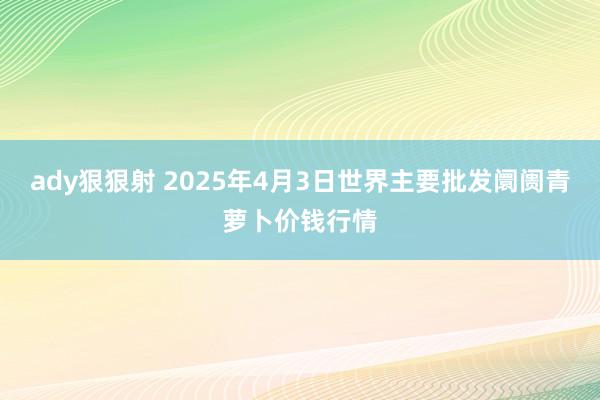 ady狠狠射 2025年4月3日世界主要批发阛阓青萝卜价钱行情