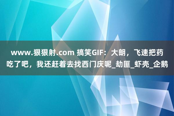 www.狠狠射.com 搞笑GIF：大朗，飞速把药吃了吧，我还赶着去找西门庆呢_劫匪_虾壳_企鹅